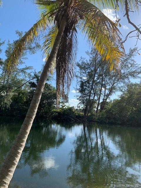 LAKE ACCESS FROM BACK YARD OF THE HOUSE