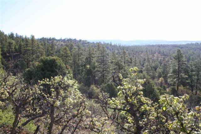 TBD Elk Hill Road, Ponderosa, Chama, New Mexico 87520, ,Land,For Sale,TBD Elk Hill Road, Ponderosa,201202058