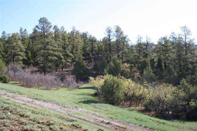 TBD Elk Hill Road, Ponderosa, Chama, New Mexico 87520, ,Land,For Sale,TBD Elk Hill Road, Ponderosa,201202058