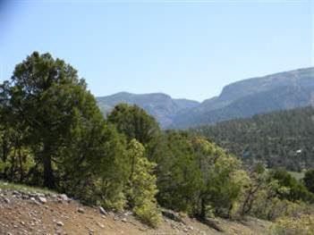 Tract 14, Unit Ponderosa, Chama, New Mexico 87520, ,Land,For Sale,Tract 14, Unit Ponderosa,201202152