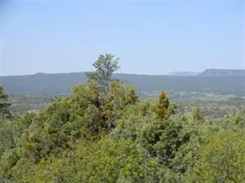 Tract 14, Unit Ponderosa, Chama, New Mexico 87520, ,Land,For Sale,Tract 14, Unit Ponderosa,201202152