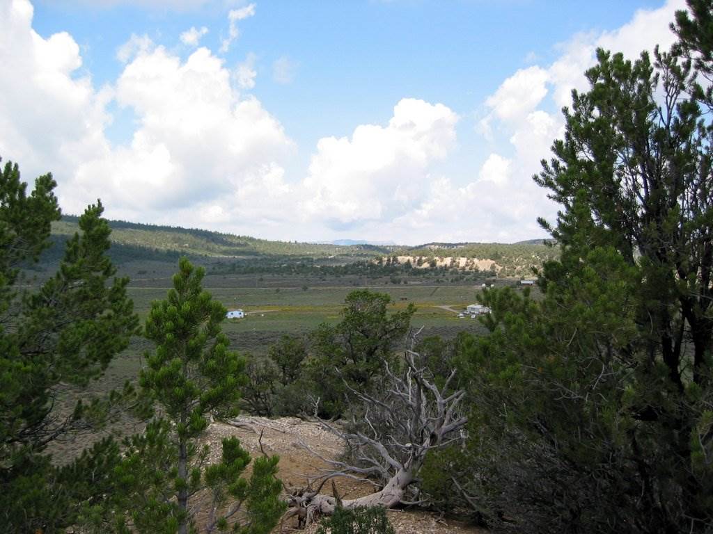 Chama, New Mexico 87520, ,Land,For Sale,201305423