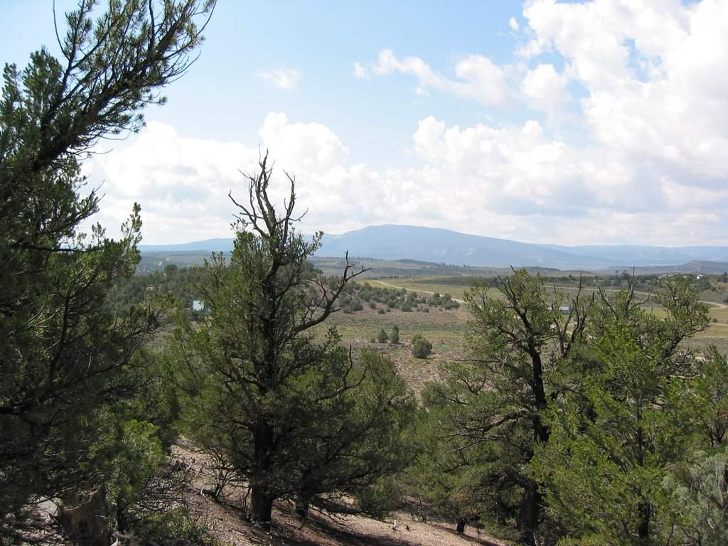 Chama, New Mexico 87520, ,Land,For Sale,201305423