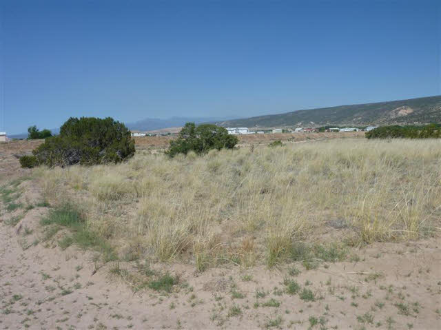 TRACT C LOT 4 OF FNRT, Los Luceros, New Mexico 87582, ,Land,For Sale,TRACT C LOT 4 OF FNRT,201701216