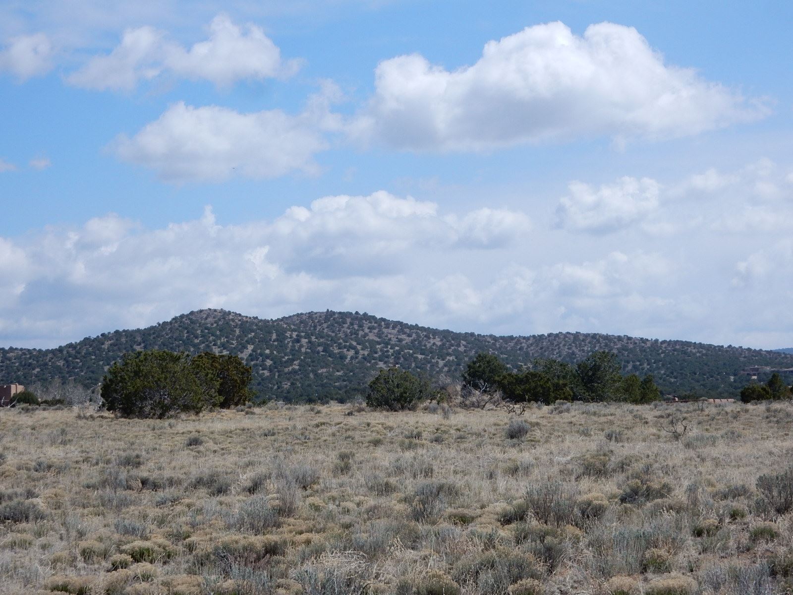 15 Hijo De Dios, Santa Fe, New Mexico 87508, ,Land,For Sale,15 Hijo De Dios,201902148