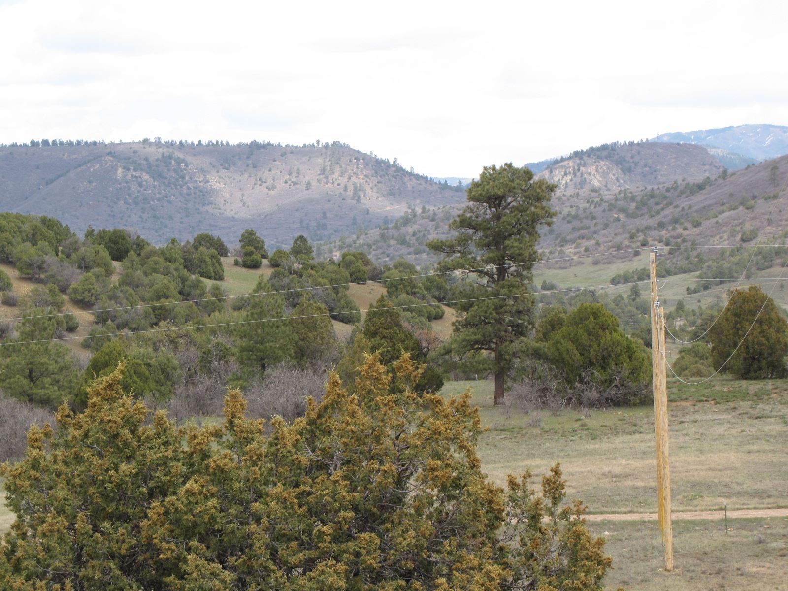 0 Tracts B & C Willow, Chama, New Mexico 87520, ,Land,For Sale,0 Tracts B & C Willow,201902099