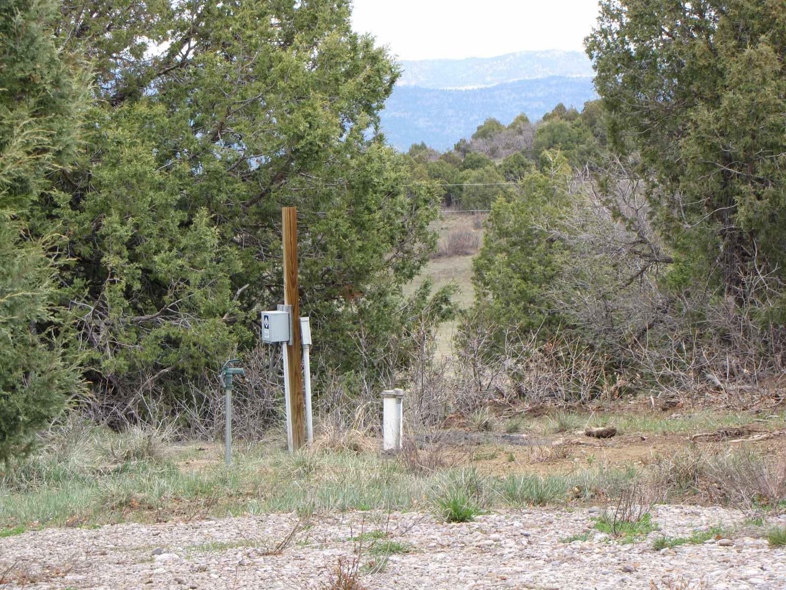 0 Tracts B & C Willow, Chama, New Mexico 87520, ,Land,For Sale,0 Tracts B & C Willow,201902099