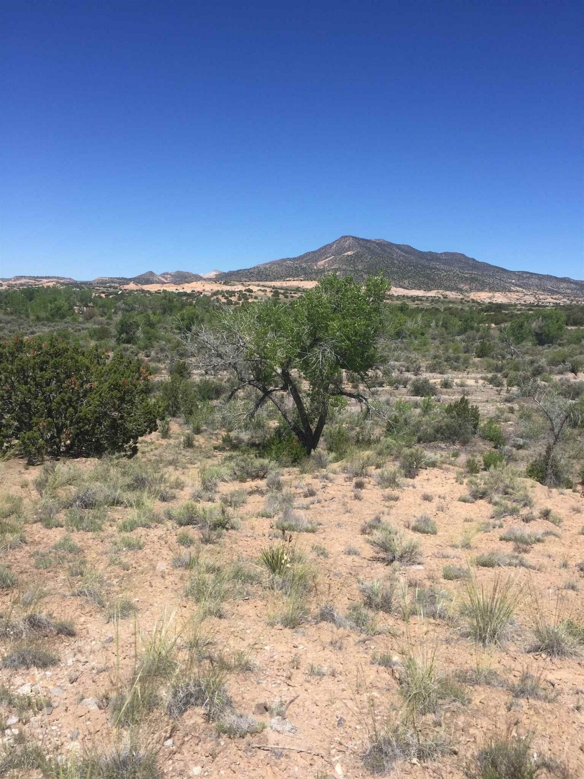 Lots 8, 9, 23&24 Fort Defina, Abiquiu, New Mexico 87510, ,Land,For Sale,Lots 8,9,23&24 Fort Defina,201902367