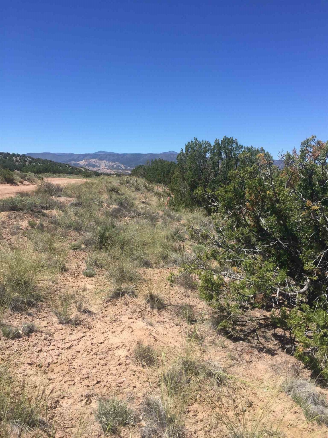 Lots 8, 9, 23&24 Fort Defina, Abiquiu, New Mexico 87510, ,Land,For Sale,Lots 8,9,23&24 Fort Defina,201902367