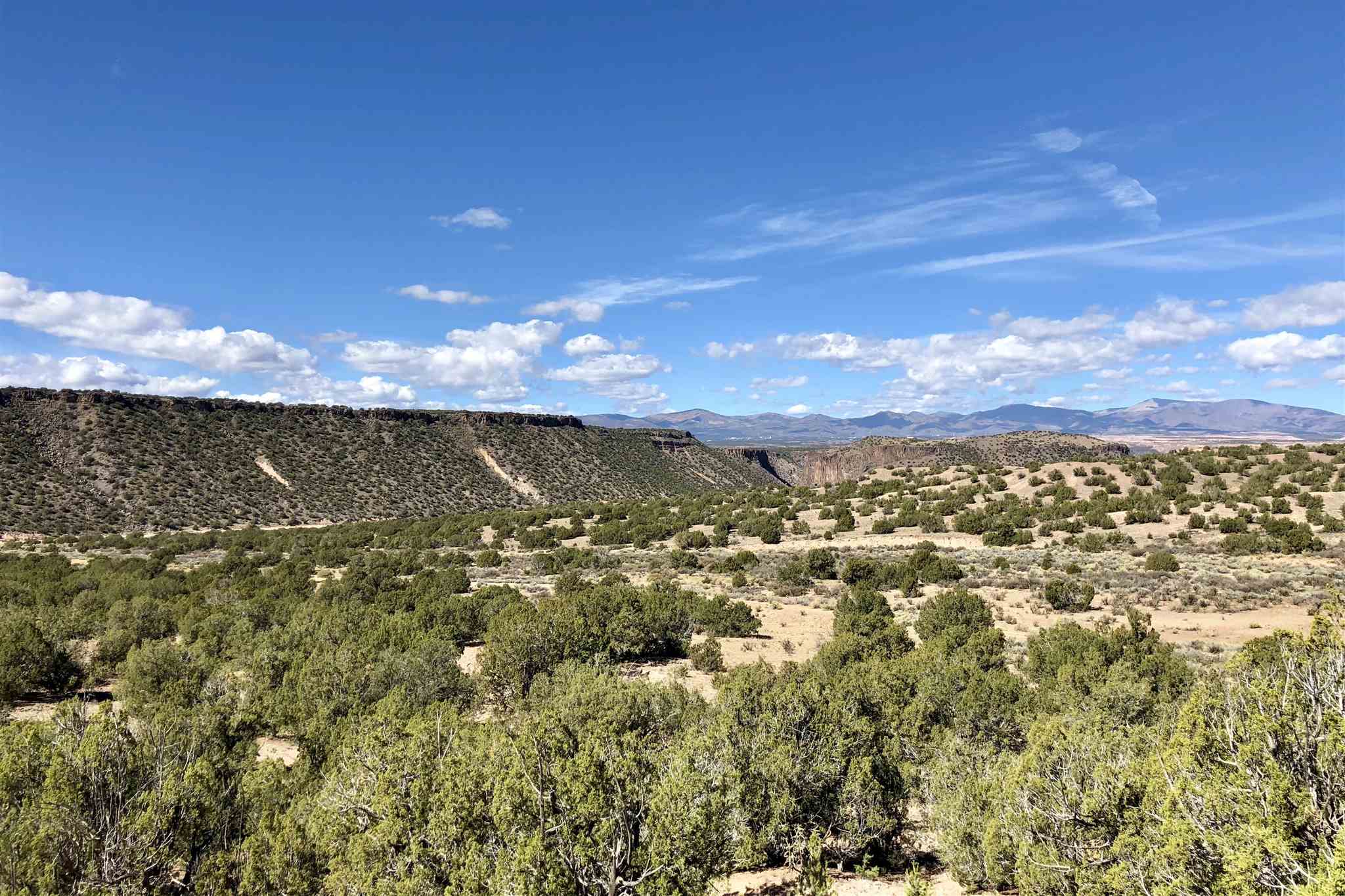 160 Acres Buckman, Santa Fe, New Mexico 87506, ,Farm,For Sale,160 Acres Buckman,201902834