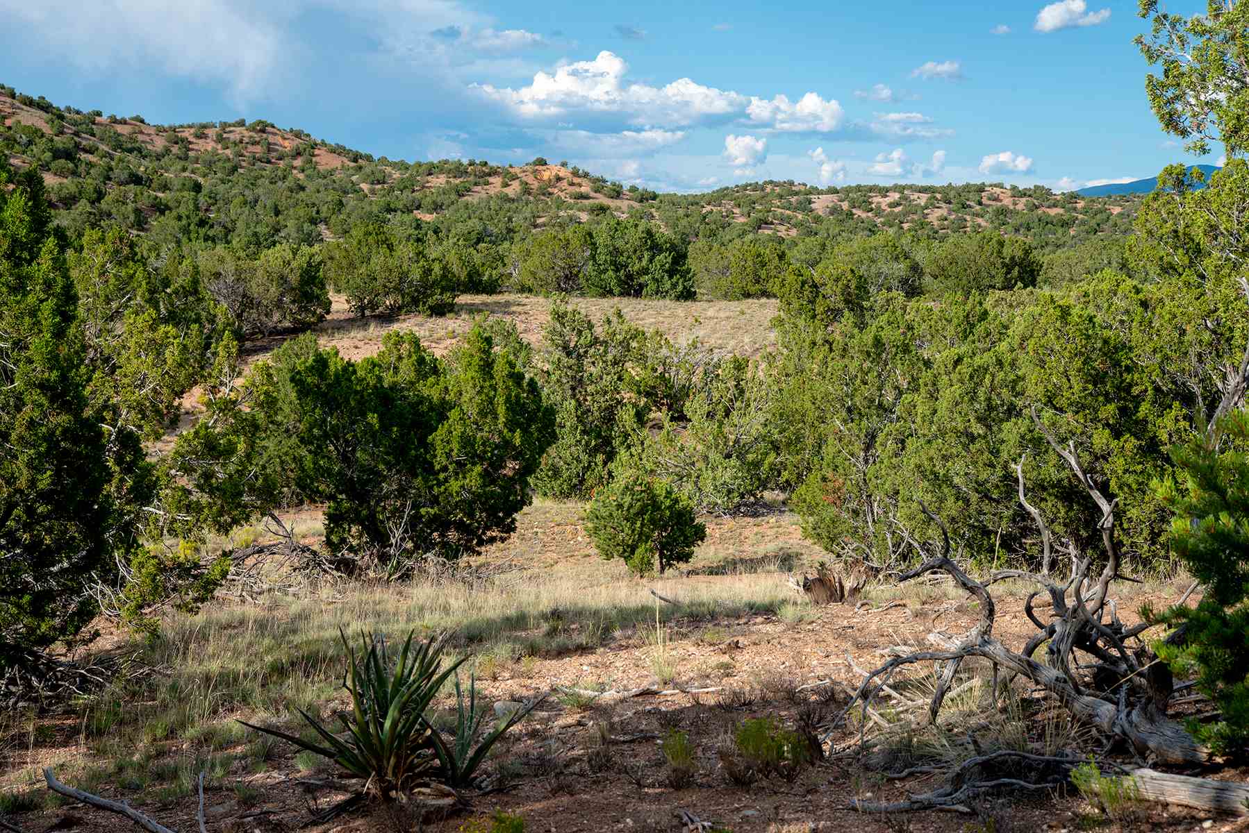 58 Estrada Calabasa Lot 56, Santa Fe, New Mexico 87506, ,Land,For Sale,58 Estrada Calabasa Lot 56,201903828