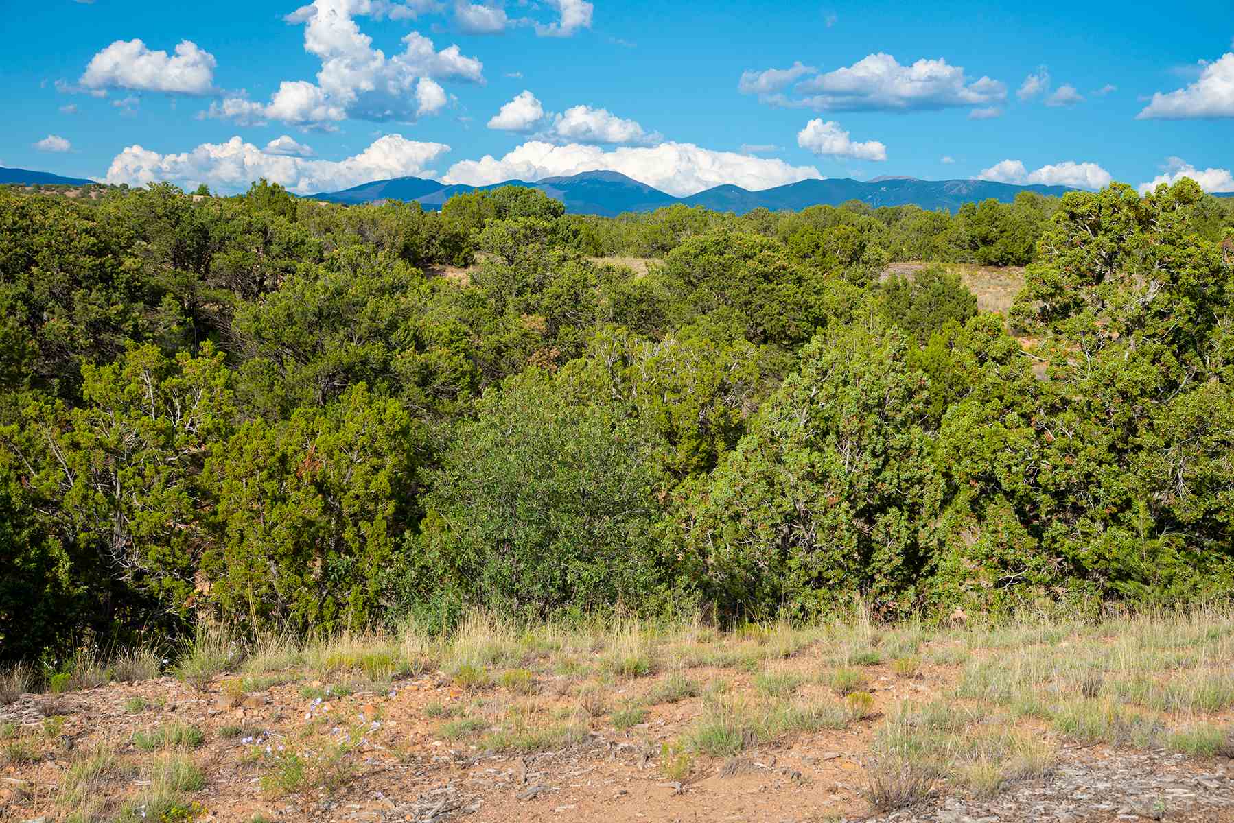 58 Estrada Calabasa Lot 56, Santa Fe, New Mexico 87506, ,Land,For Sale,58 Estrada Calabasa Lot 56,201903828