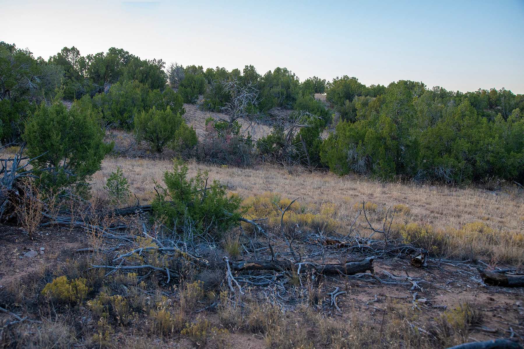 46 Silver Spur, Cerrillos, New Mexico 87010, ,Land,For Sale,46 Silver Spur,201904839