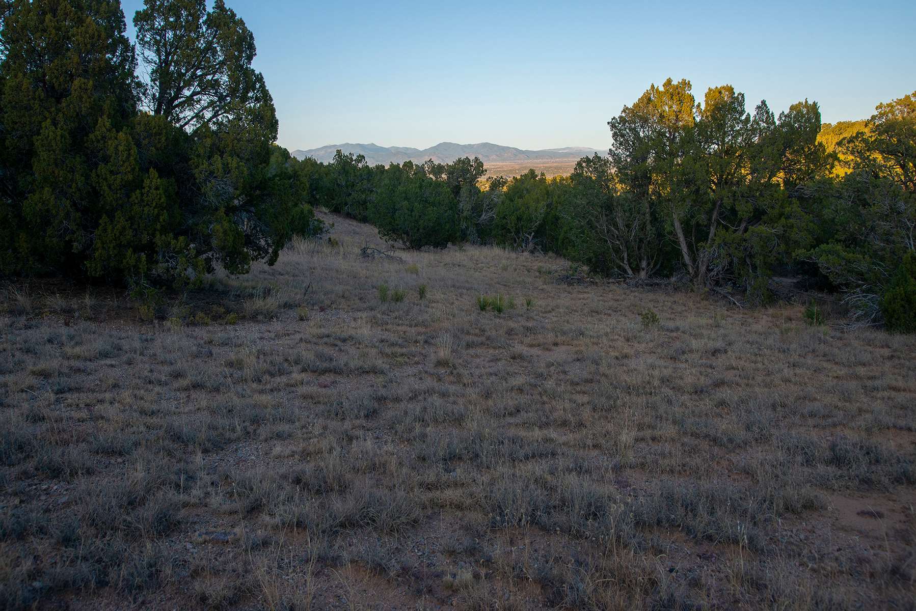 46 Silver Spur, Cerrillos, New Mexico 87010, ,Land,For Sale,46 Silver Spur,201904839