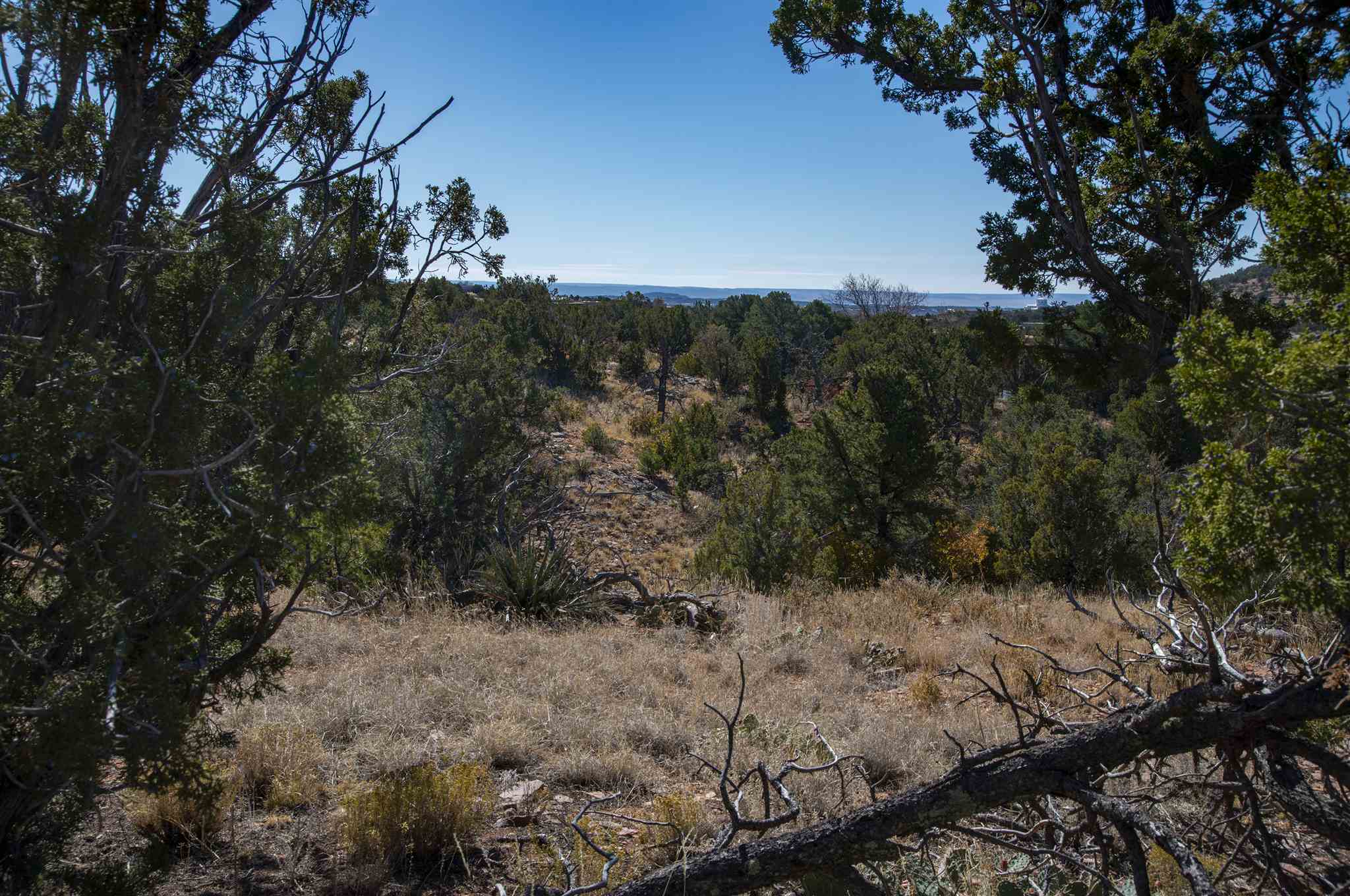 34 Alteza, Santa Fe, New Mexico 87508, ,Land,For Sale,34 Alteza,201904983