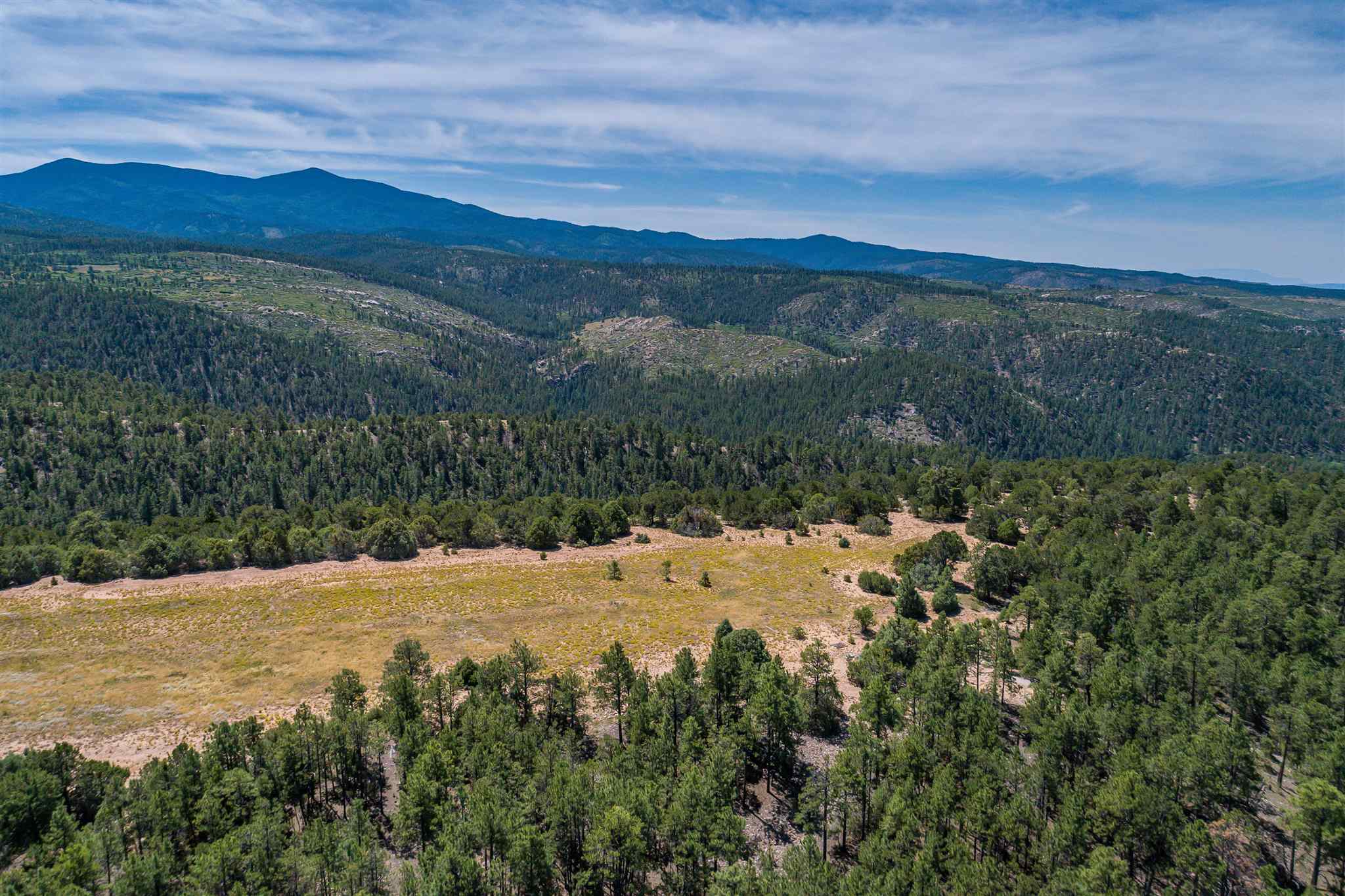 0 County Road 79 Tract D, Truchas, New Mexico 87578, ,Land,For Sale,0 County Road 79 Tract D,201904996