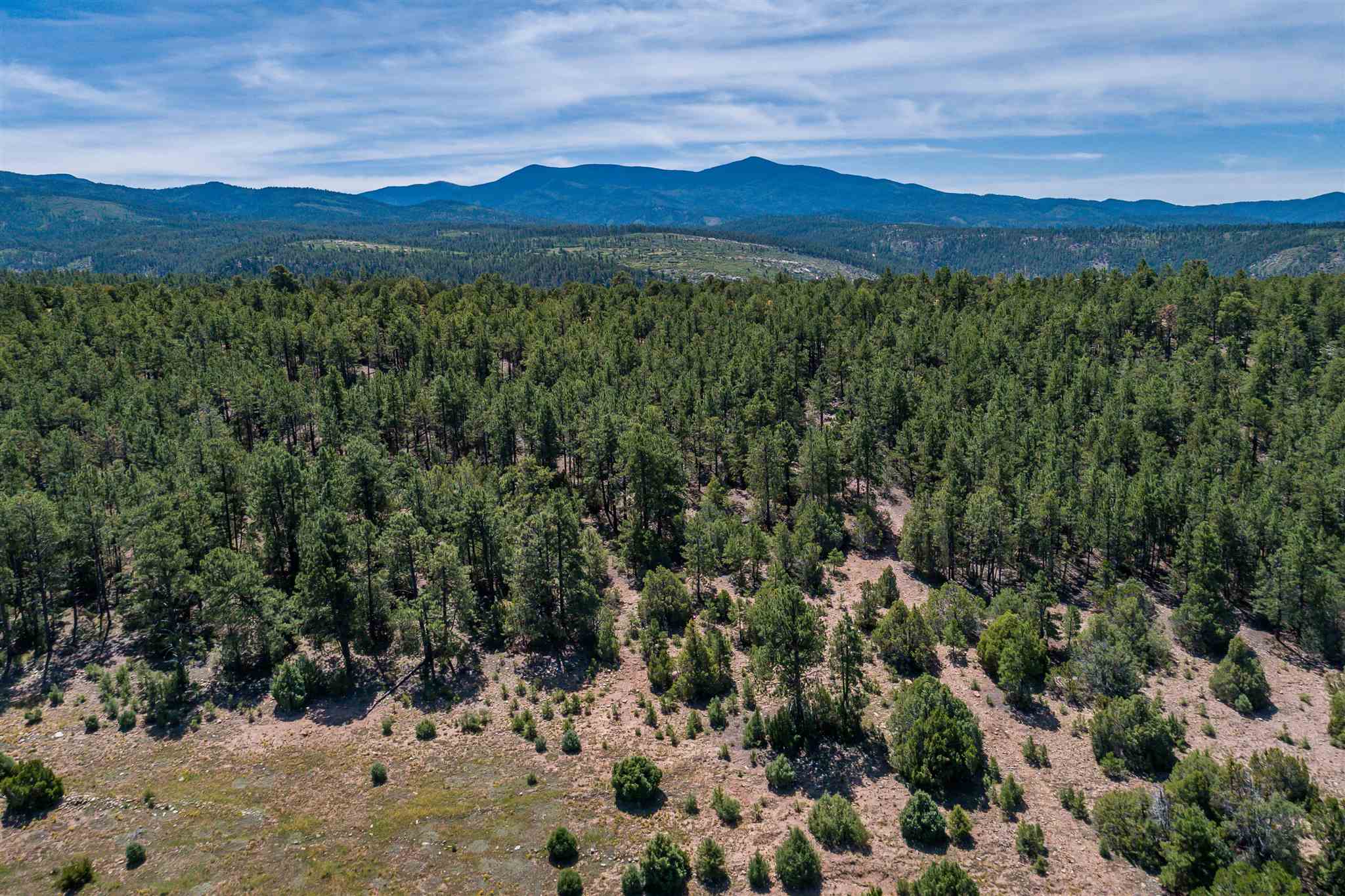 0 County Road 79 Tract D, Truchas, New Mexico 87578, ,Land,For Sale,0 County Road 79 Tract D,201904996