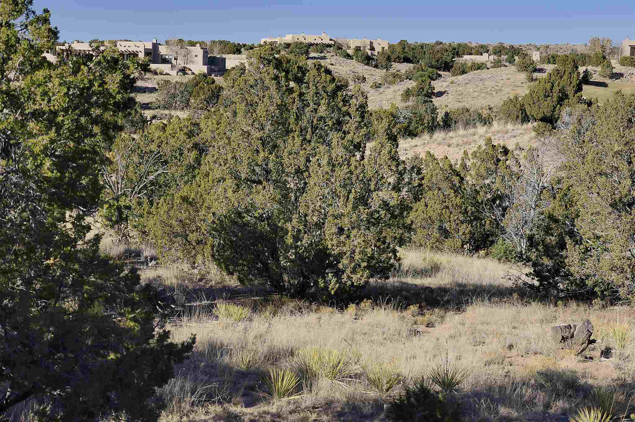 10 Tamarisk Trail Lot 532, Santa Fe, New Mexico 87506, ,Land,For Sale,10 Tamarisk Trail Lot 532,201905117