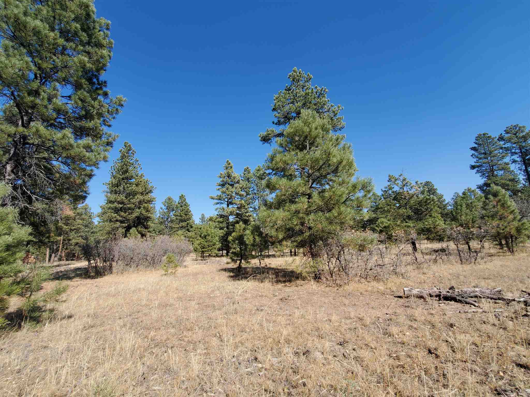 TBD North, Chama, New Mexico 87520, ,Land,For Sale,TBD North,201905307