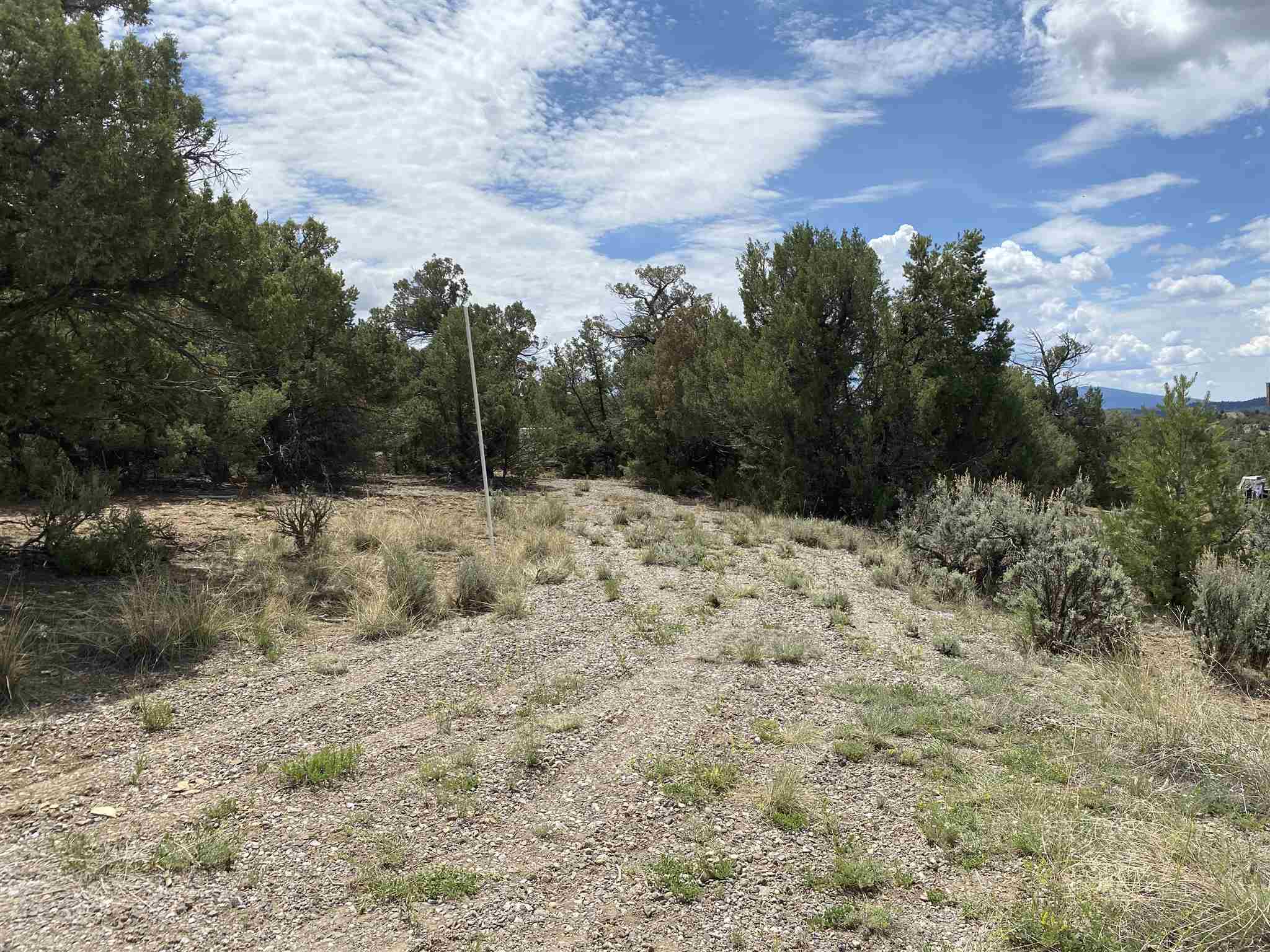 Pinon Ridge Lot 21, Chama, New Mexico 87520, ,Land,For Sale,Pinon Ridge Lot 21,202002467