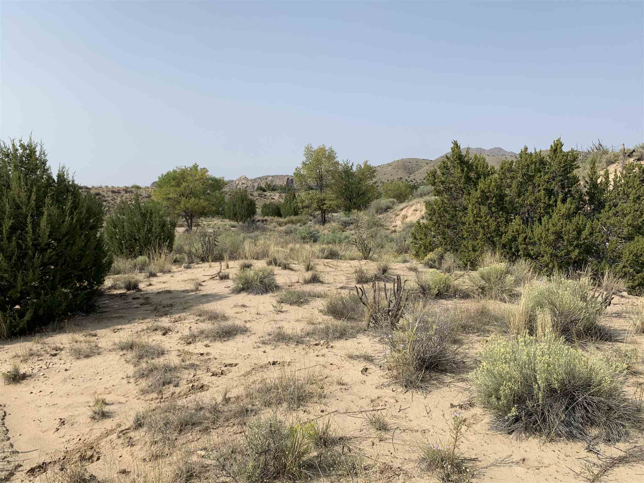 3107 NM Highway 14, Cerrillos, New Mexico 87010, ,Land,For Sale,3107 NM Highway 14,202004194