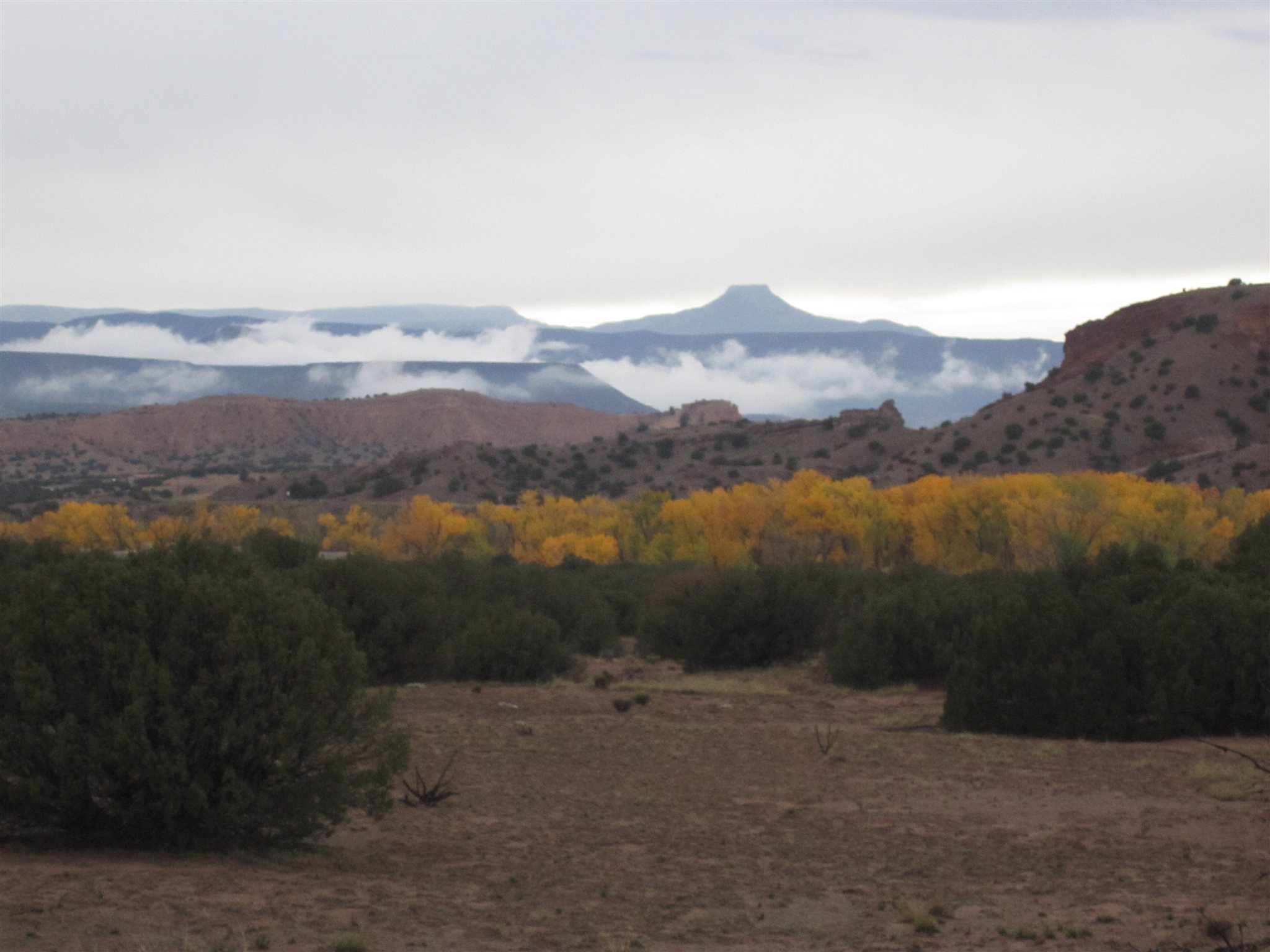 4.5 State Road 554, Abiquiu, New Mexico 87510, ,Land,For Sale,4.5 State Road 554,202100896
