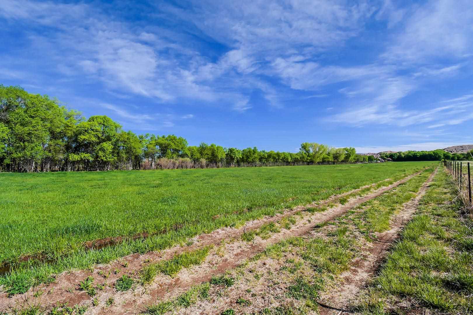 TBD County Rd 56, Chamita, New Mexico 87566, ,Farm,For Sale,TBD County Rd 56,202102023