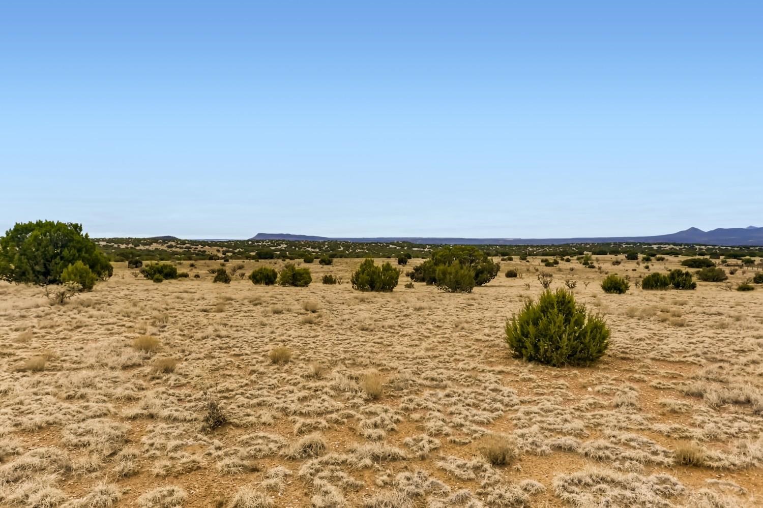 269 Camino los Abuelos, Santa Fe, New Mexico 87508, ,Land,For Sale,269 Camino los Abuelos,202102007