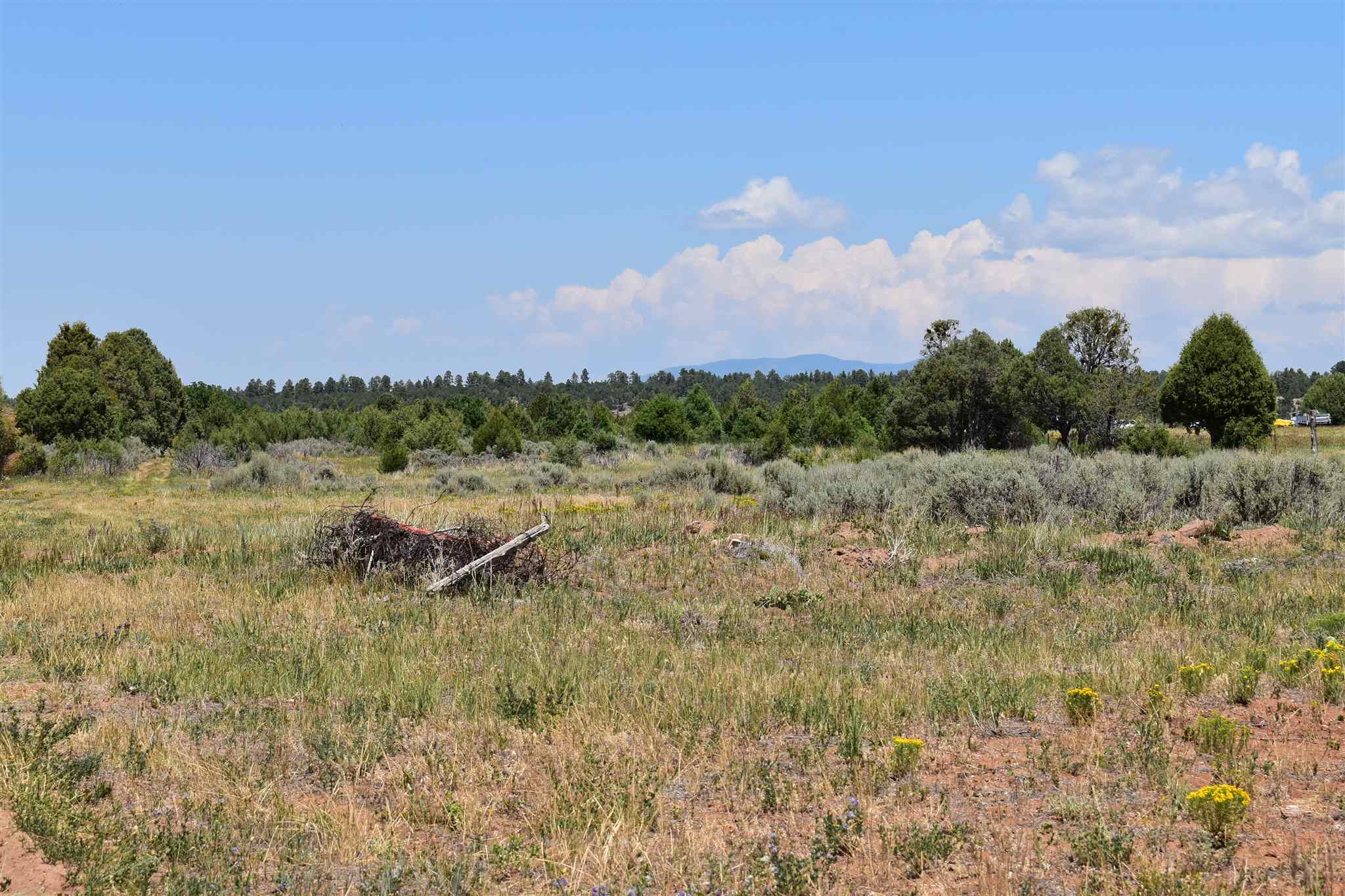 TBD Tract 1 County Road 77, Truchas, New Mexico 87578-0000, ,Land,For Sale,TBD Tract 1 County Road 77,202103252