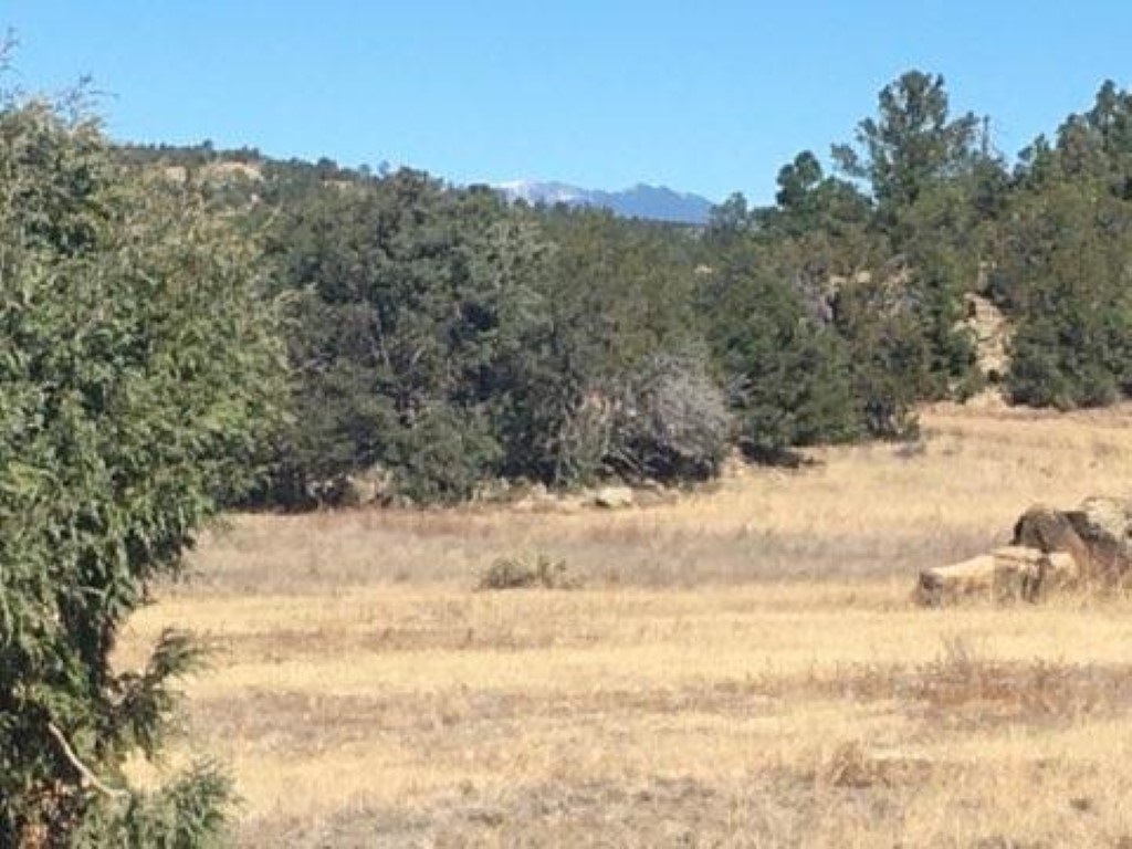48 Rancho Mesita Lot 4, Santa Fe, New Mexico 87508, ,Land,For Sale,48 Rancho Mesita Lot 4,202103003