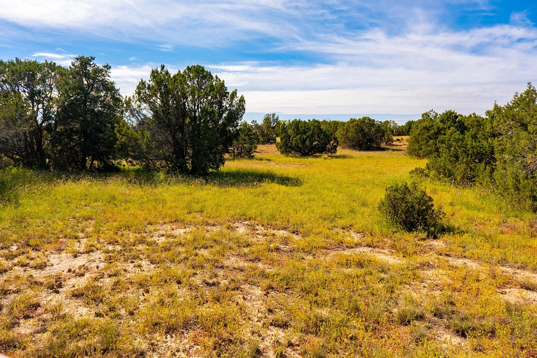 14 Entrada Descanso, Santa Fe, New Mexico 87506, ,Land,For Sale,14 Entrada Descanso,202104299