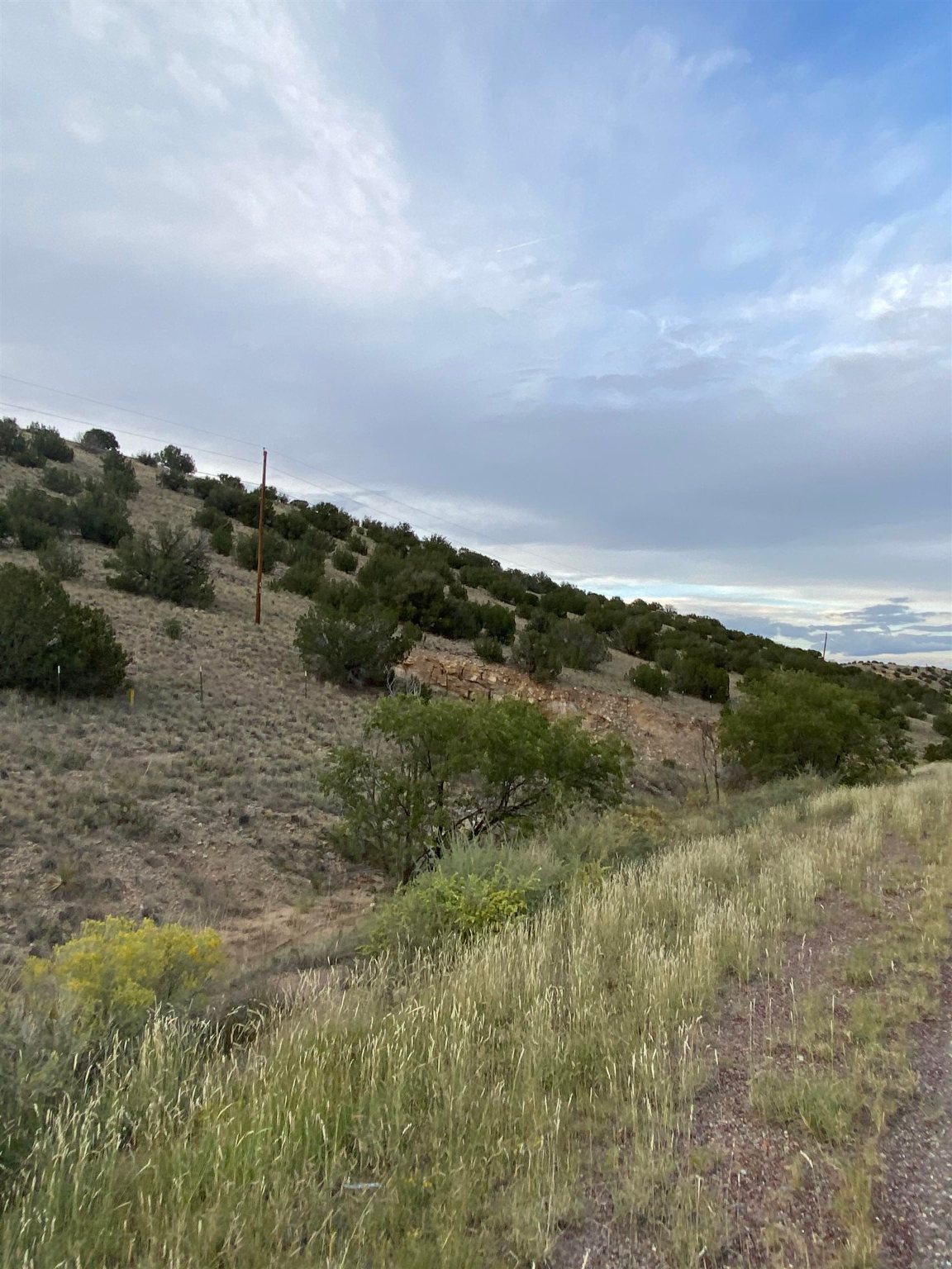 0 Old Goat Road and 2923 NM 14, Madrid, New Mexico 87010, ,Land,For Sale,0 Old Goat Road and 2923 NM 14,202104314