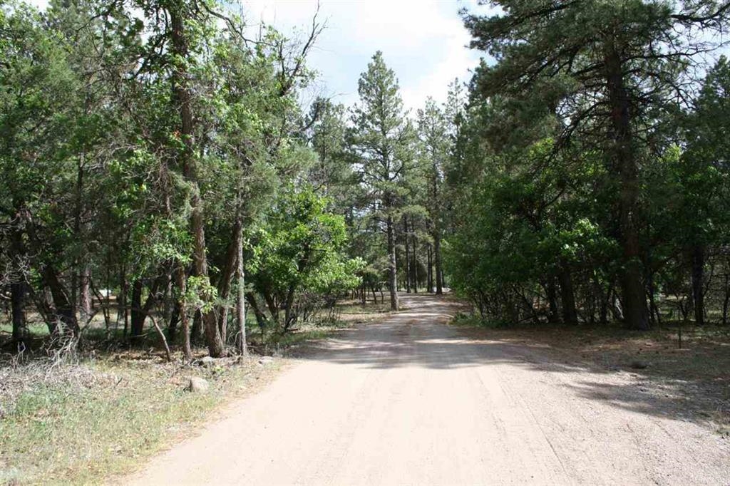 Private Road 1754A, Chama, New Mexico 87520, ,Land,For Sale,Private Road 1754A,202105090