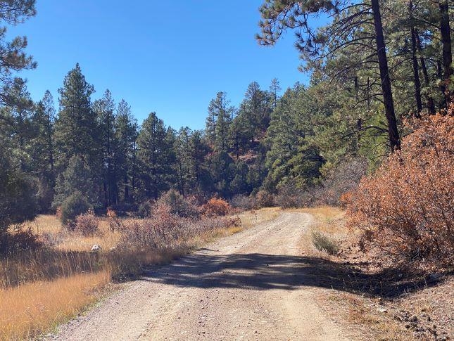 3 Junction, Chama, New Mexico 87520-9999, ,Land,For Sale,3 Junction,202104656