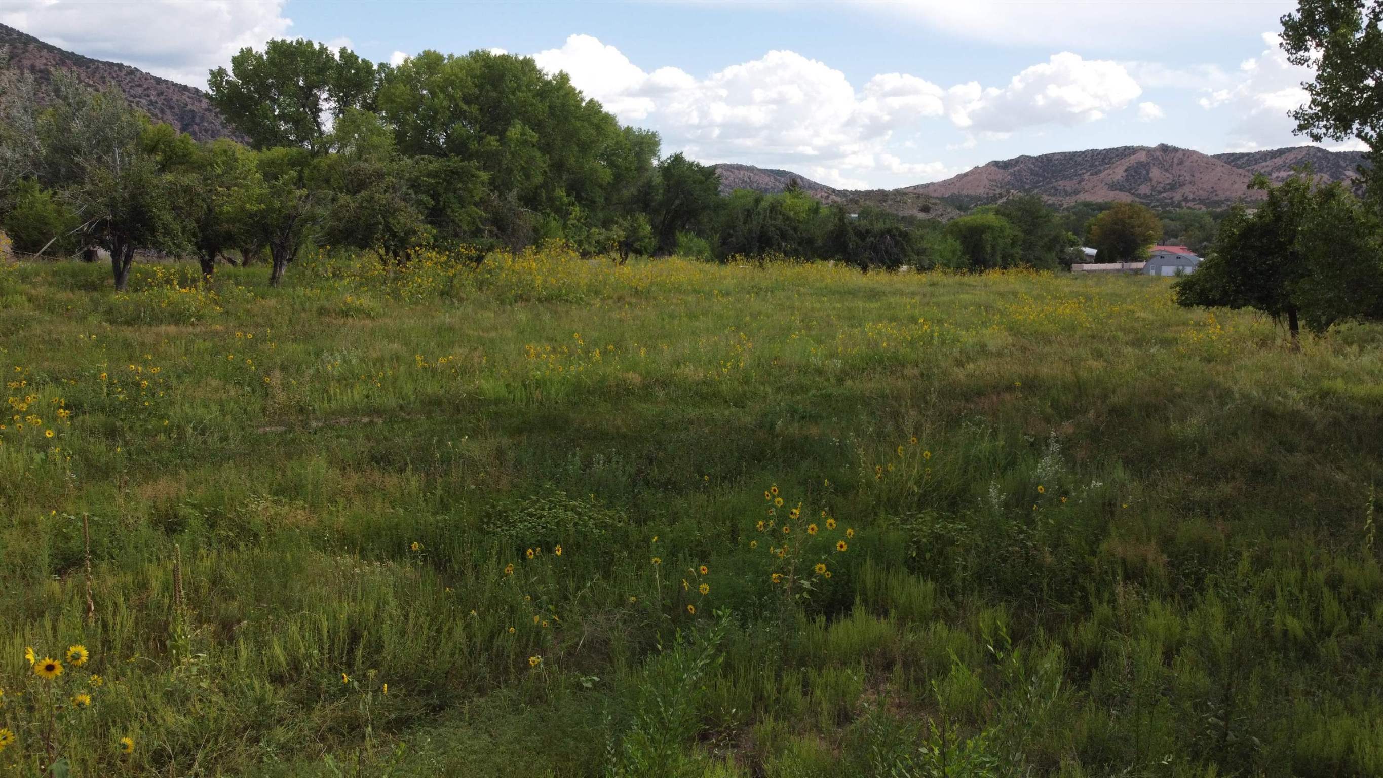Chimayo, New Mexico 87522, ,Land,For Sale,202103958