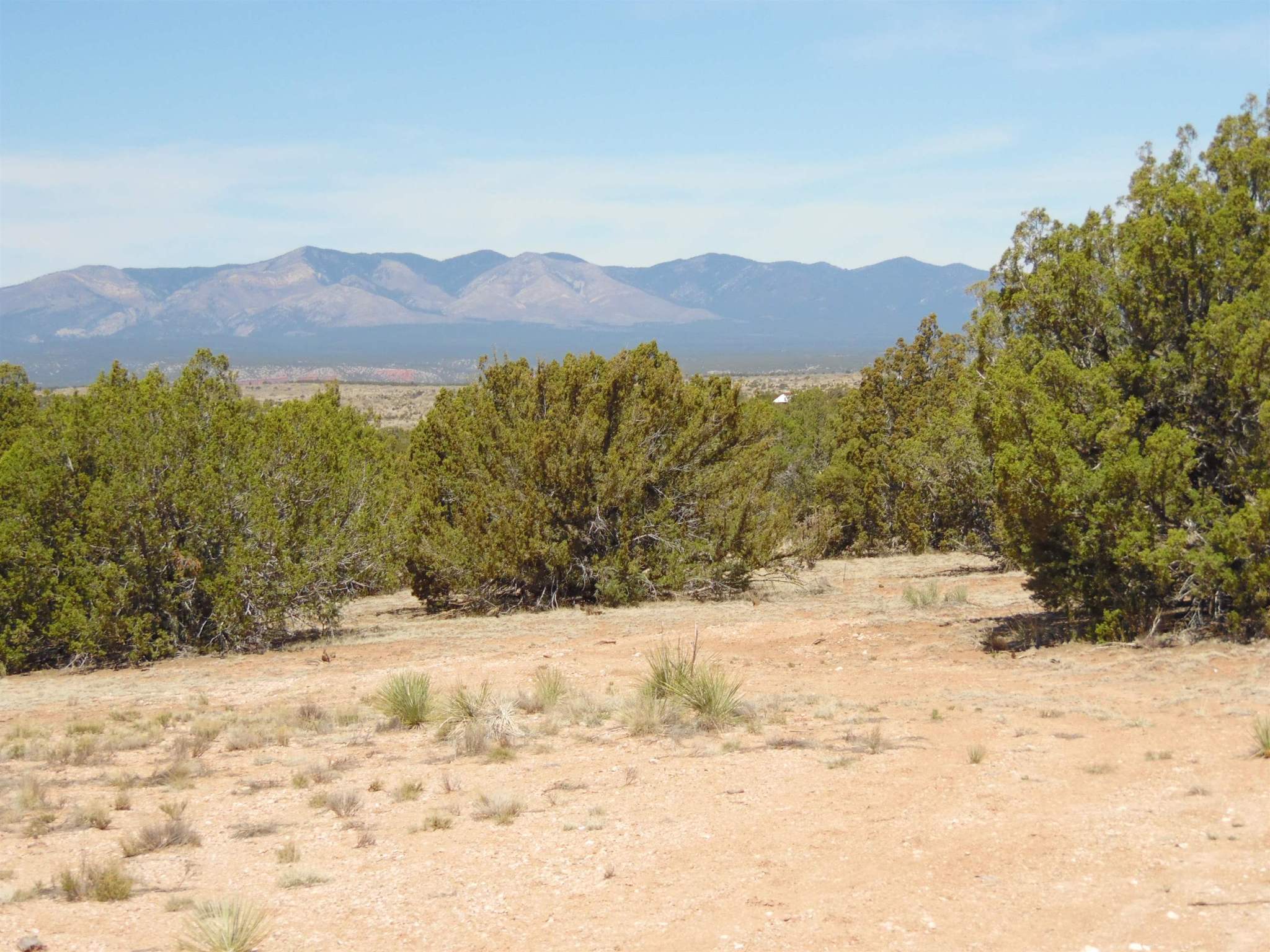 840 Deer Canyon, Mountainair, New Mexico 87036, ,Land,For Sale,840 Deer Canyon,202105396