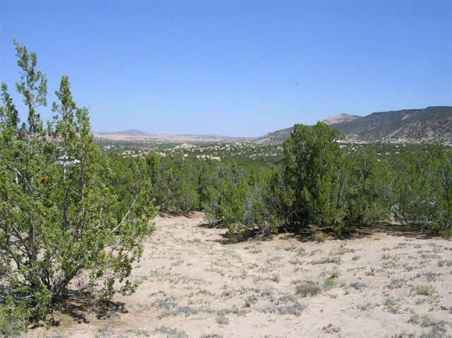 1E1 Cottontail 1E1, Ojo Caliente, New Mexico 87549, ,Land,For Sale,1E1 Cottontail 1E1,201204211