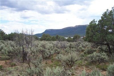 0 Pinon Ridge, Los Ojos, New Mexico 87551, ,Land,For Sale,0 Pinon Ridge,201403103