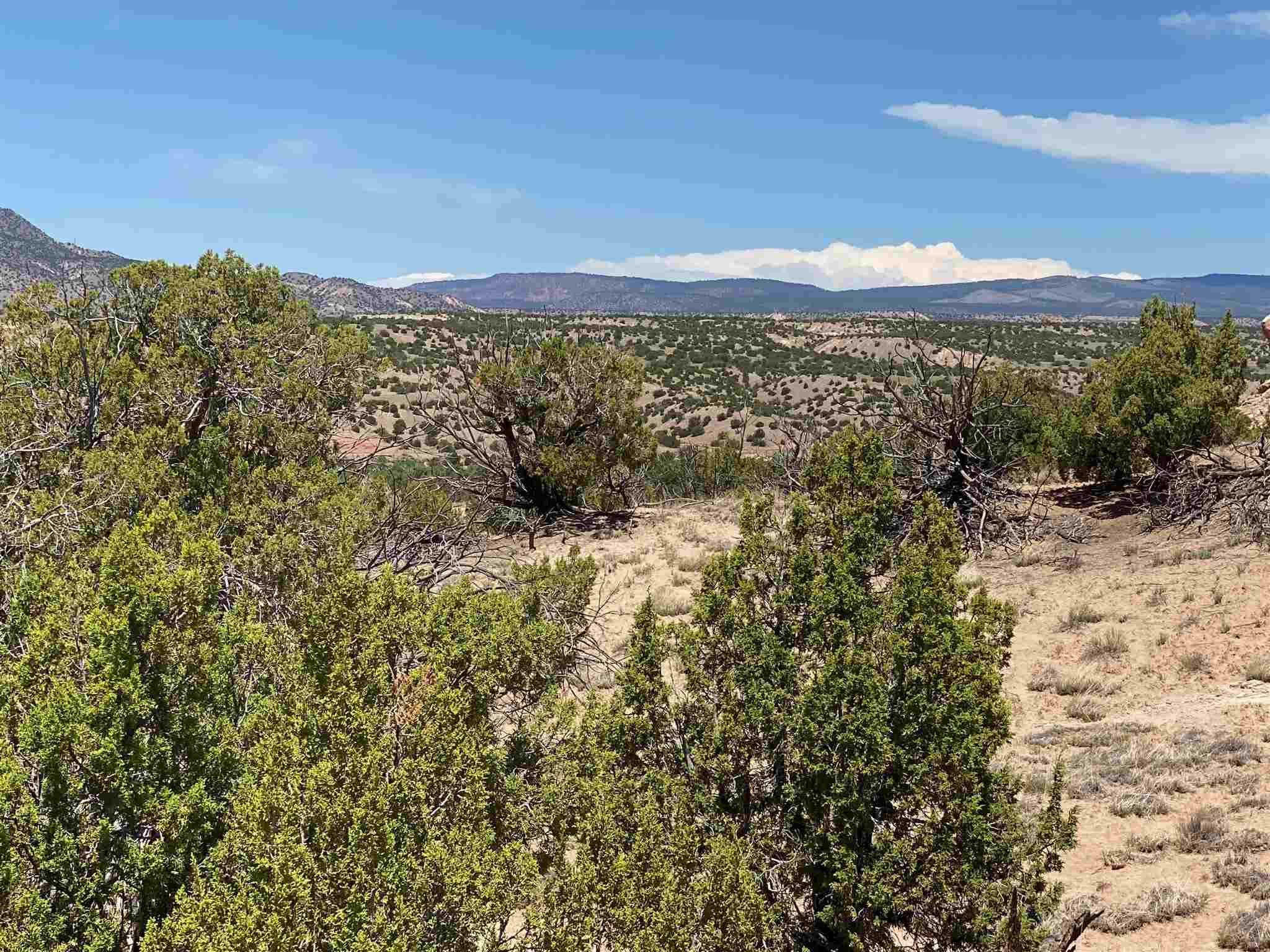 Abiquiu, New Mexico 87510, ,Land,For Sale,202102488