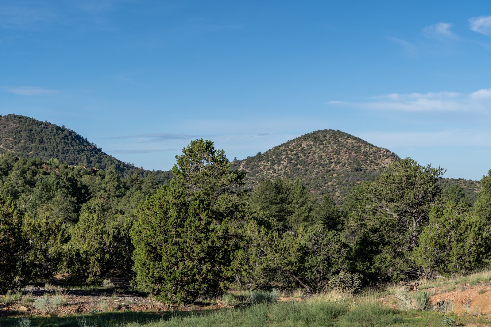 Lot 16, 17 & 18 Ponderosa Ridge, Santa Fe, New Mexico 87501, ,Land,For Sale,Lot 16, 17 & 18 Ponderosa Ridge,202105206