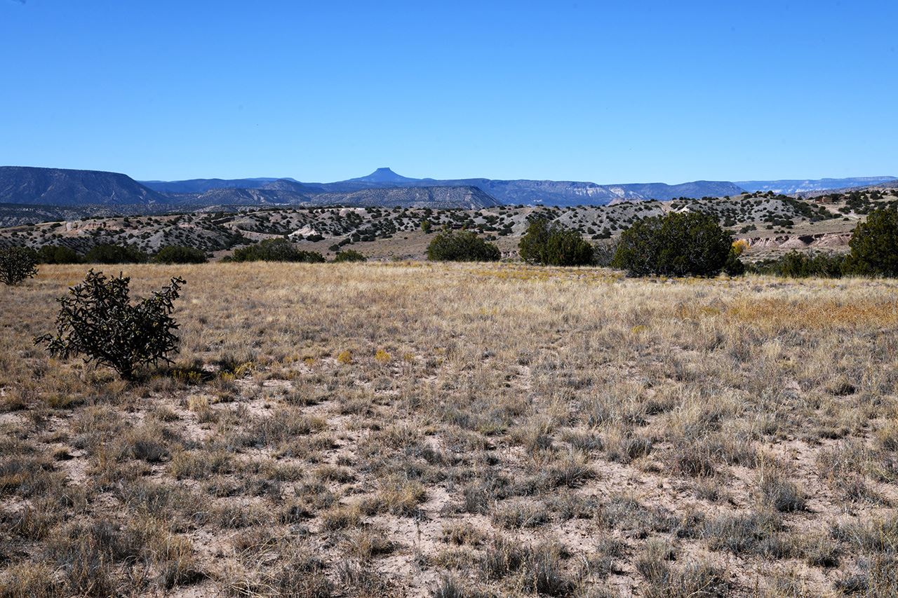 Lot 2 Blk 29 A, Abiquiu, New Mexico 87510, ,Land,For Sale,Lot 2 Blk 29 A,201904846