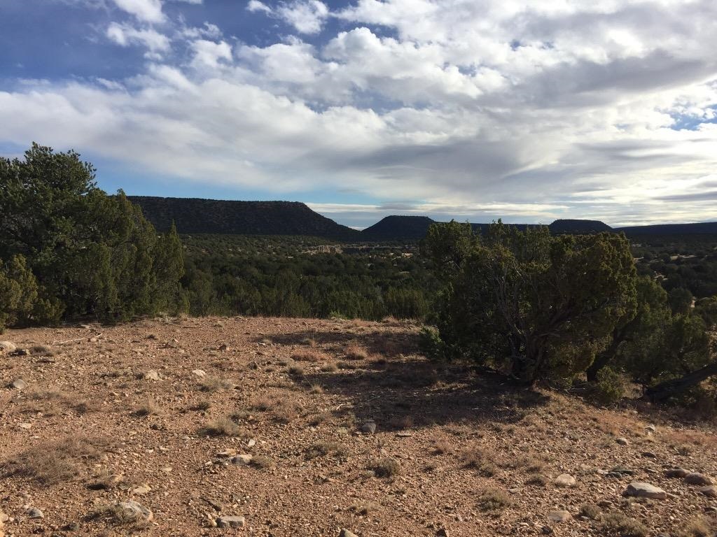 Tract 1 County Road B-27, Chapelle, New Mexico 87701, ,Land,For Sale,Tract 1 County Road B-27,202005070
