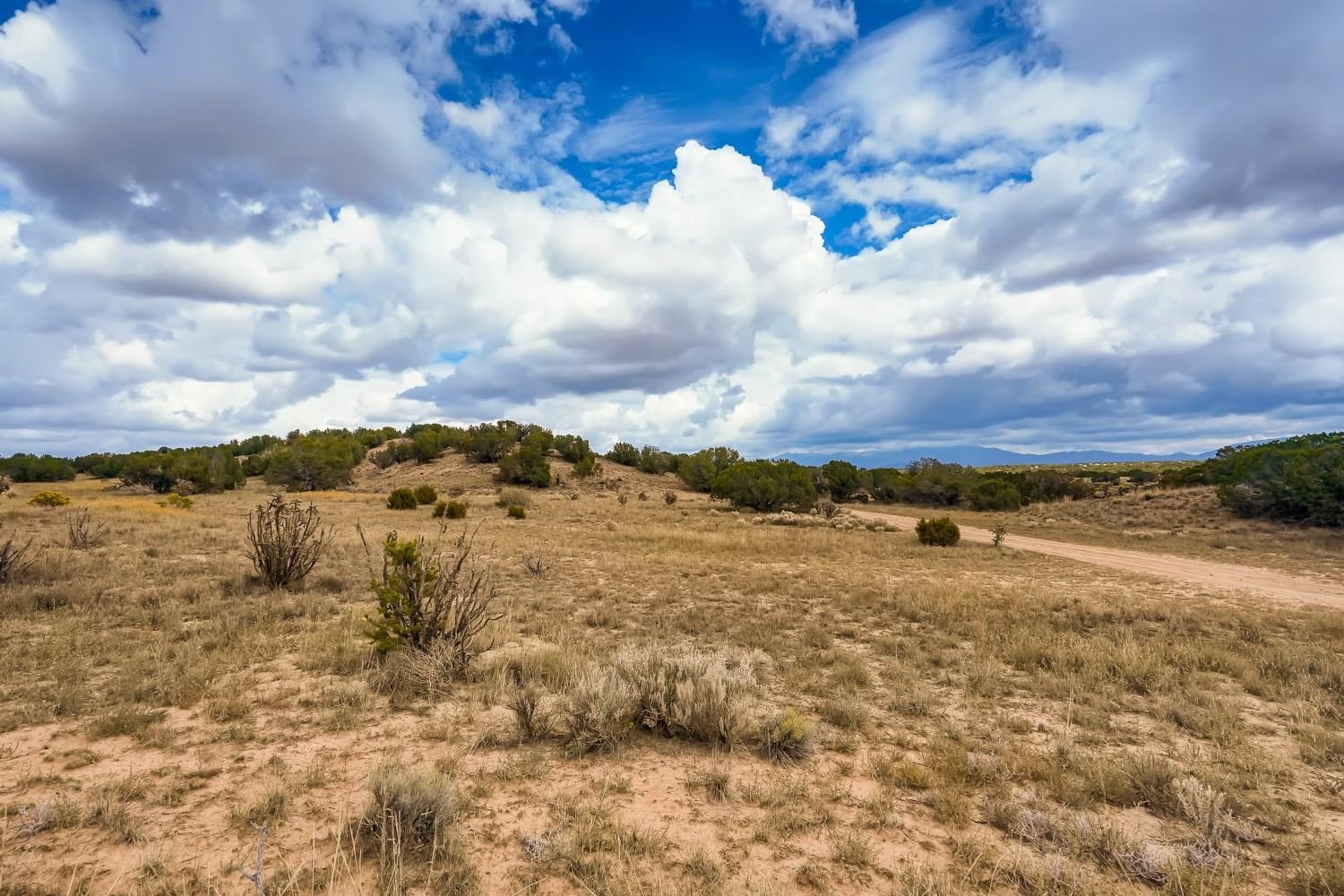 41 Camino de Rey, Santa Fe, New Mexico 87506, ,Land,For Sale,41 Camino de Rey,202104493