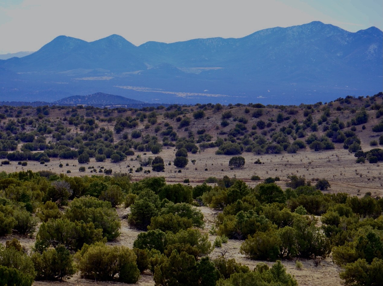 Lot 5 Southern, Lamy, New Mexico 87540, ,Land,For Sale,Lot 5 Southern,202100860