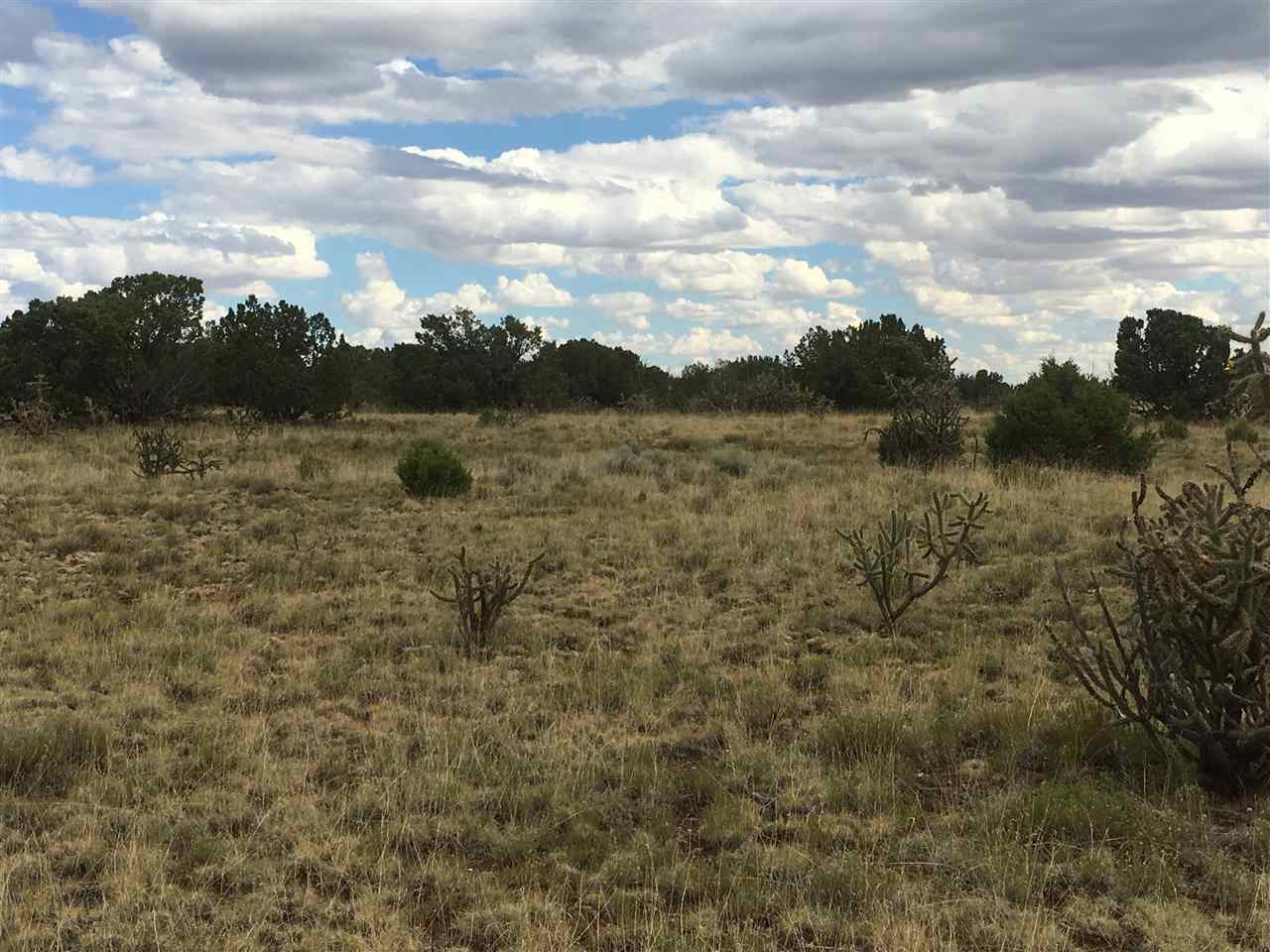 177 New Moon Overlook, Lamy, New Mexico 87540, ,Land,For Sale,177 New Moon Overlook,201805723