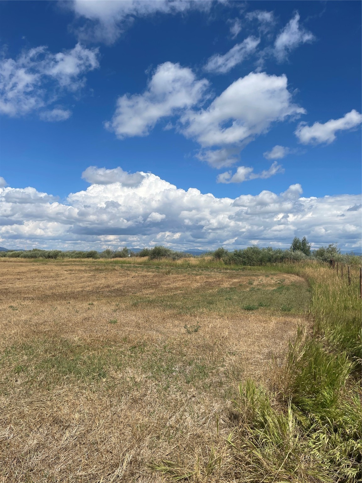 Hwy 64/84, Tierra Amarilla, New Mexico 87575, ,Land,For Sale,Hwy 64/84,202100433