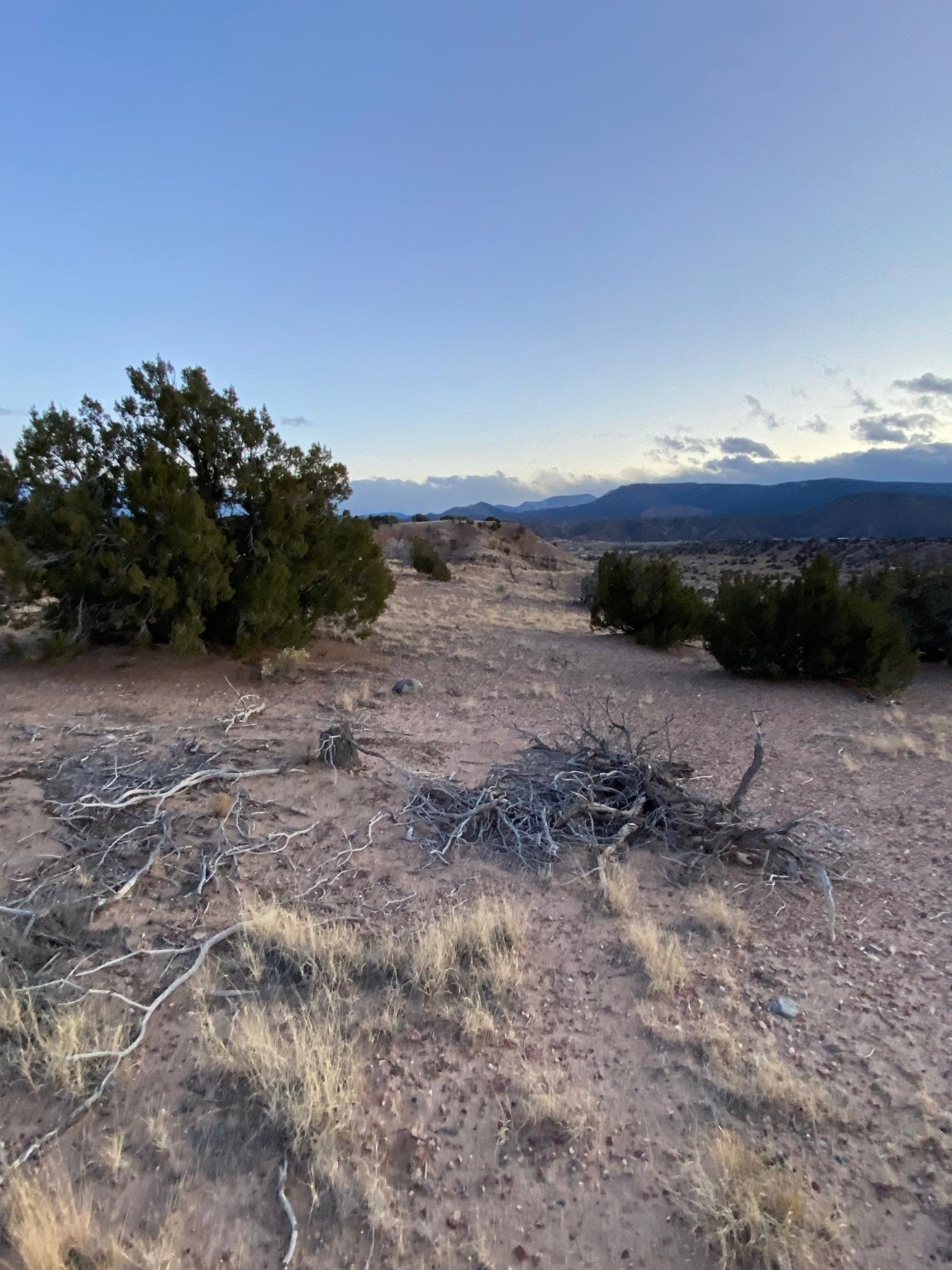 TBD COUNTY ROAD 156, Abiquiu, New Mexico 87510, ,Land,For Sale,TBD COUNTY ROAD 156,202105449