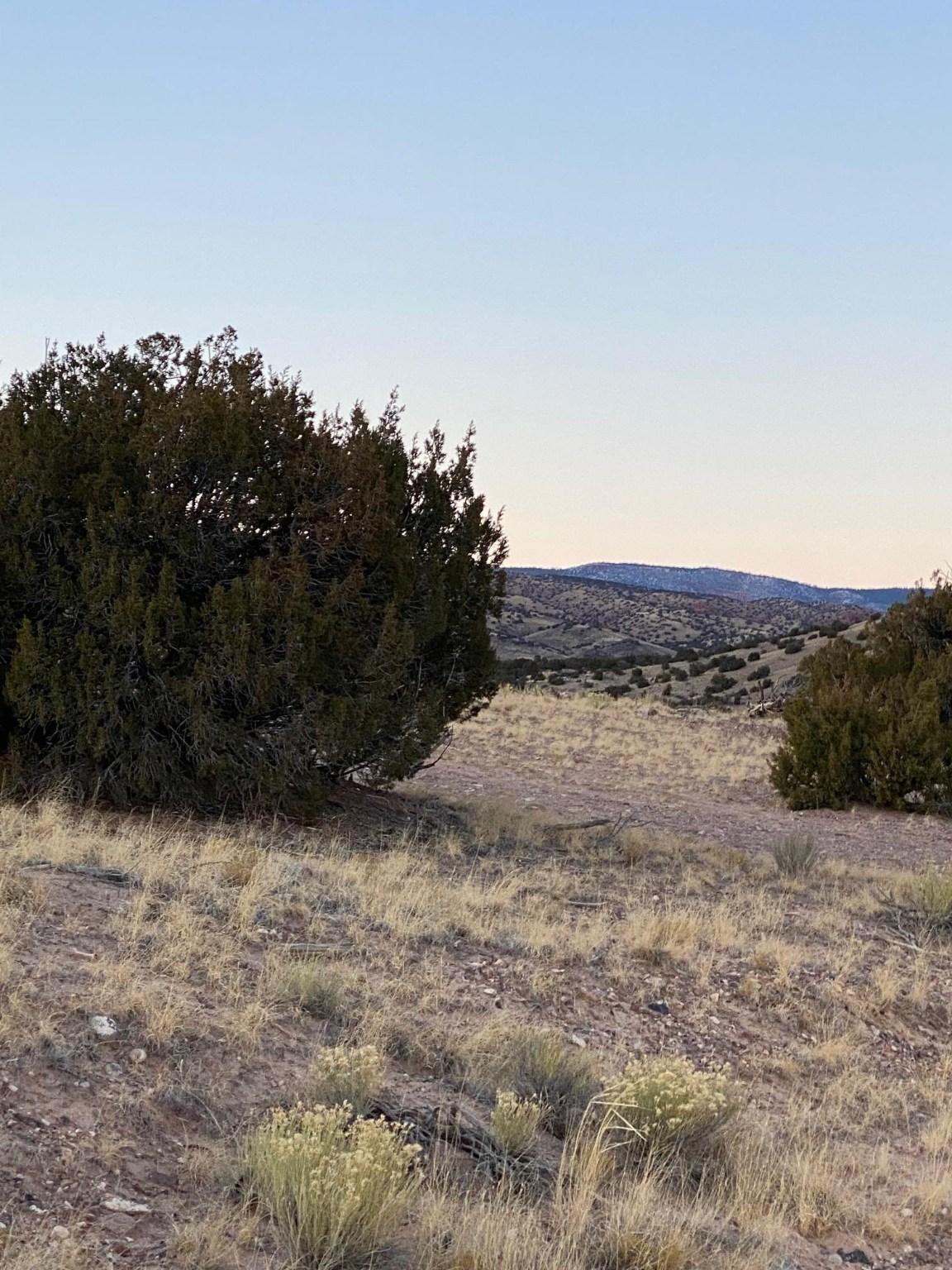 TBD COUNTY ROAD 156, Abiquiu, New Mexico 87510, ,Land,For Sale,TBD COUNTY ROAD 156,202105449