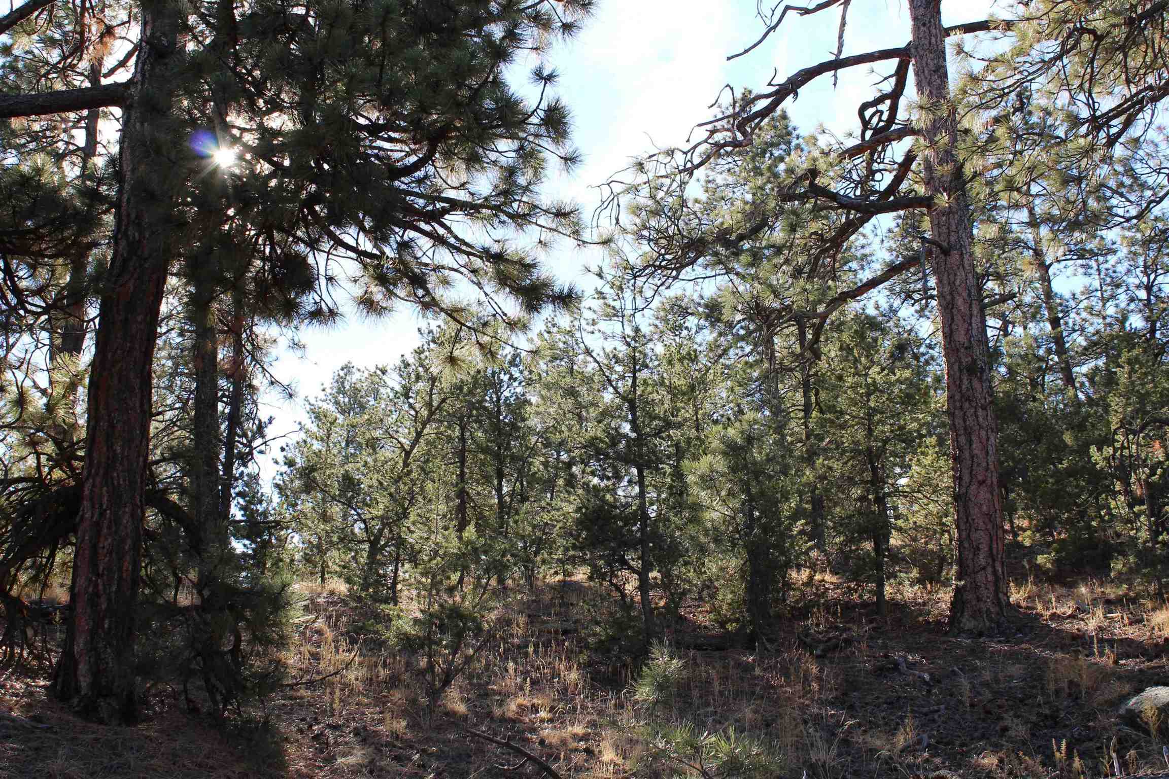 0 OVERLOOK, Santa Fe, New Mexico 87505, ,Land,For Sale,0 OVERLOOK,202105455