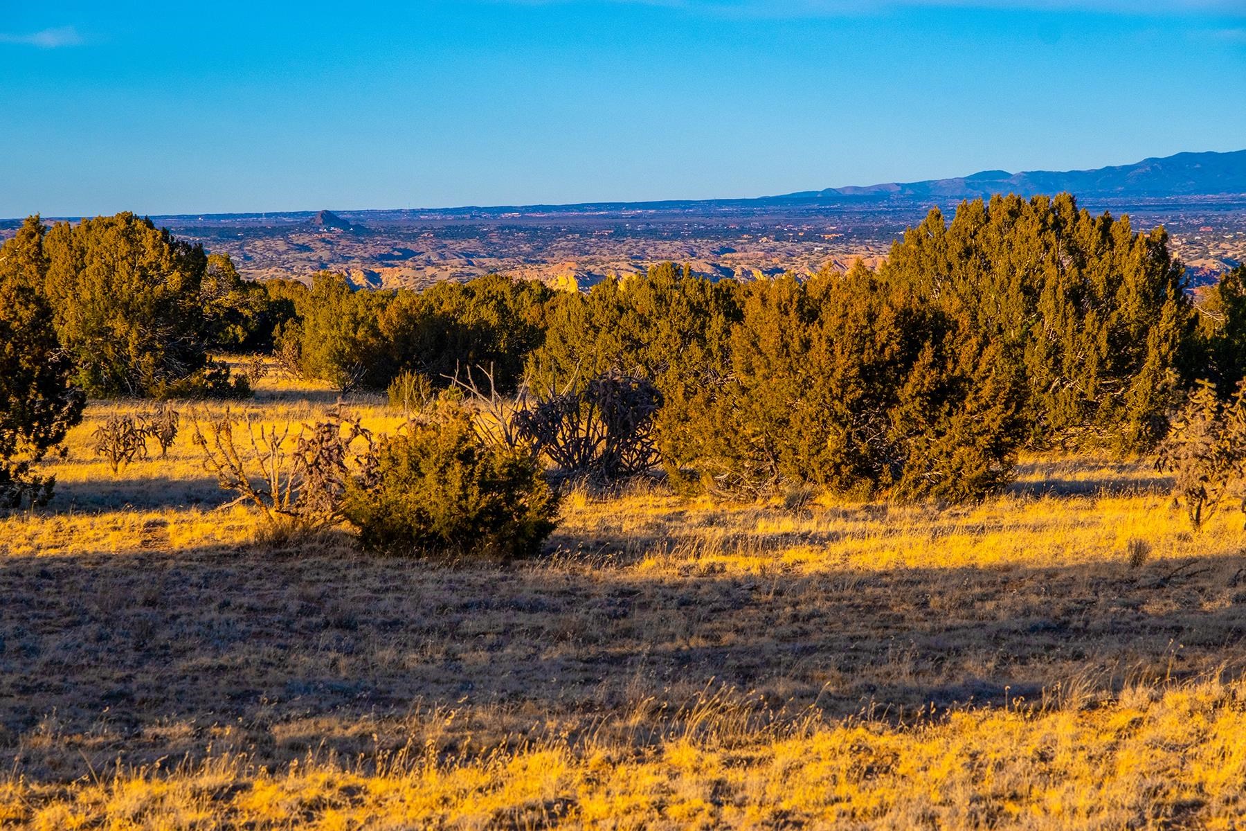 37 Rancho de Shama, Cerrillos, New Mexico 87010, ,Land,For Sale,37 Rancho de Shama,202200331